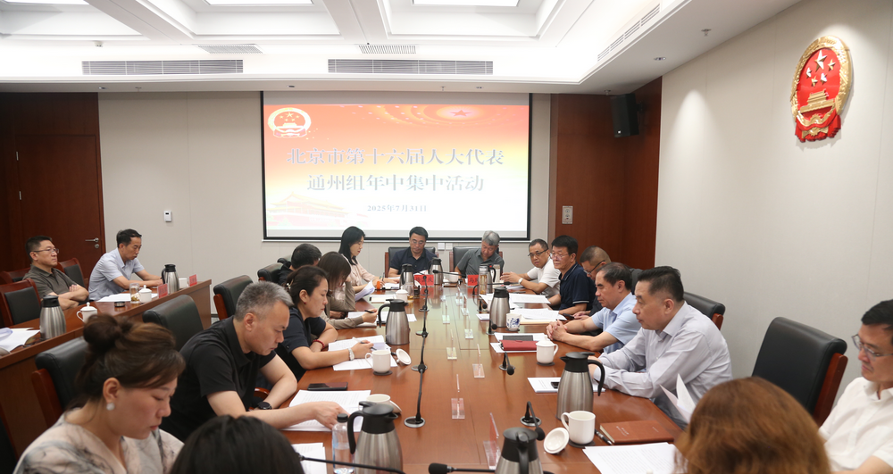 北京市十六届人大代表通州组开展年中集中活动