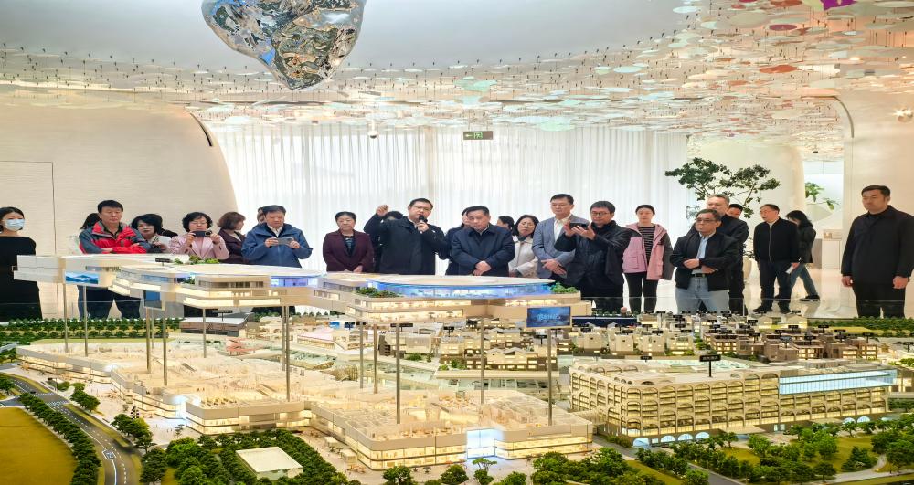 北京市第十六届人大代表通州组开展专题调研活动助...