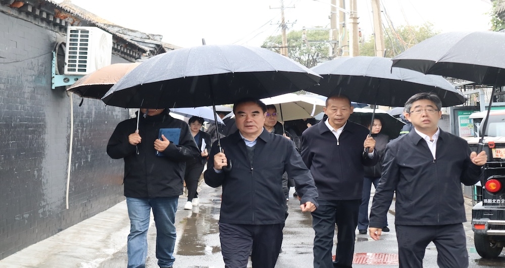 区人大常委会开展2026年区人大代表建议...